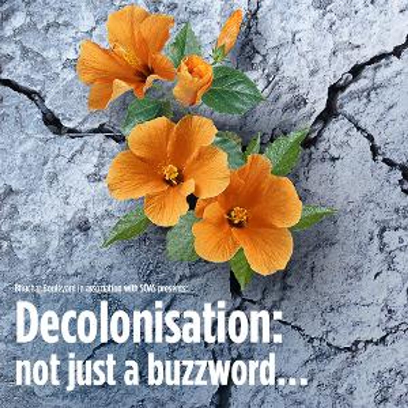 Bhuchar Boulevard Presents DECOLONISATION: NOT JUST A BUZZWORD...  Image