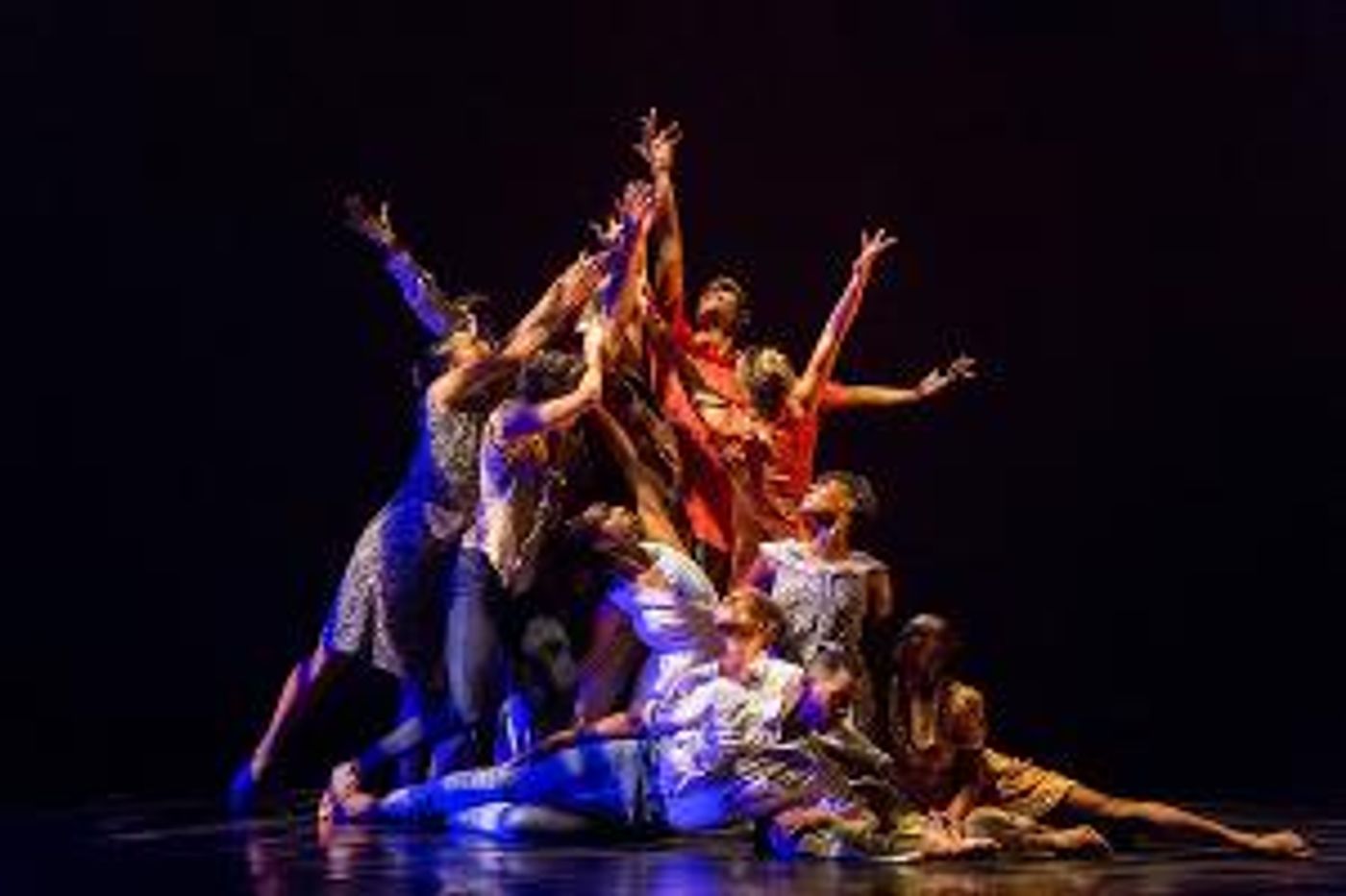 Dallas Black Dance Theatre Celebrates African American Dance Masters In a Virtual Performance  Image