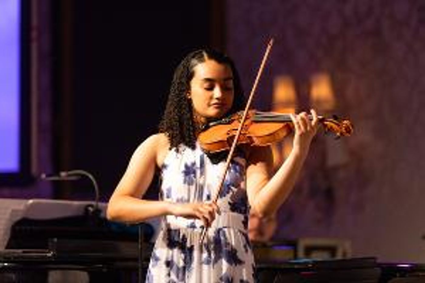 Palm Beach Symphony Accepting Nominations For Lisa Bruna B-Major Award  Image