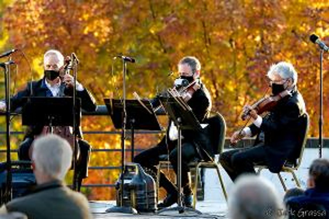 Members Of The Orpheus Chamber Orchestra Will Appear at The Morris Museum's Lot Of Strings Festival  Image