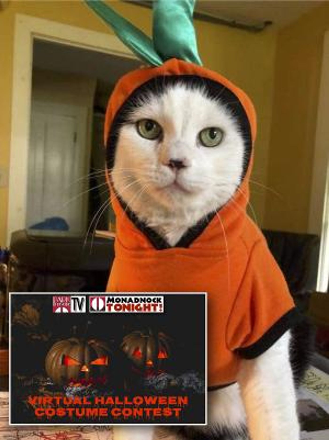 Park Theatre Holds Virtual Halloween Costume Contest  Image