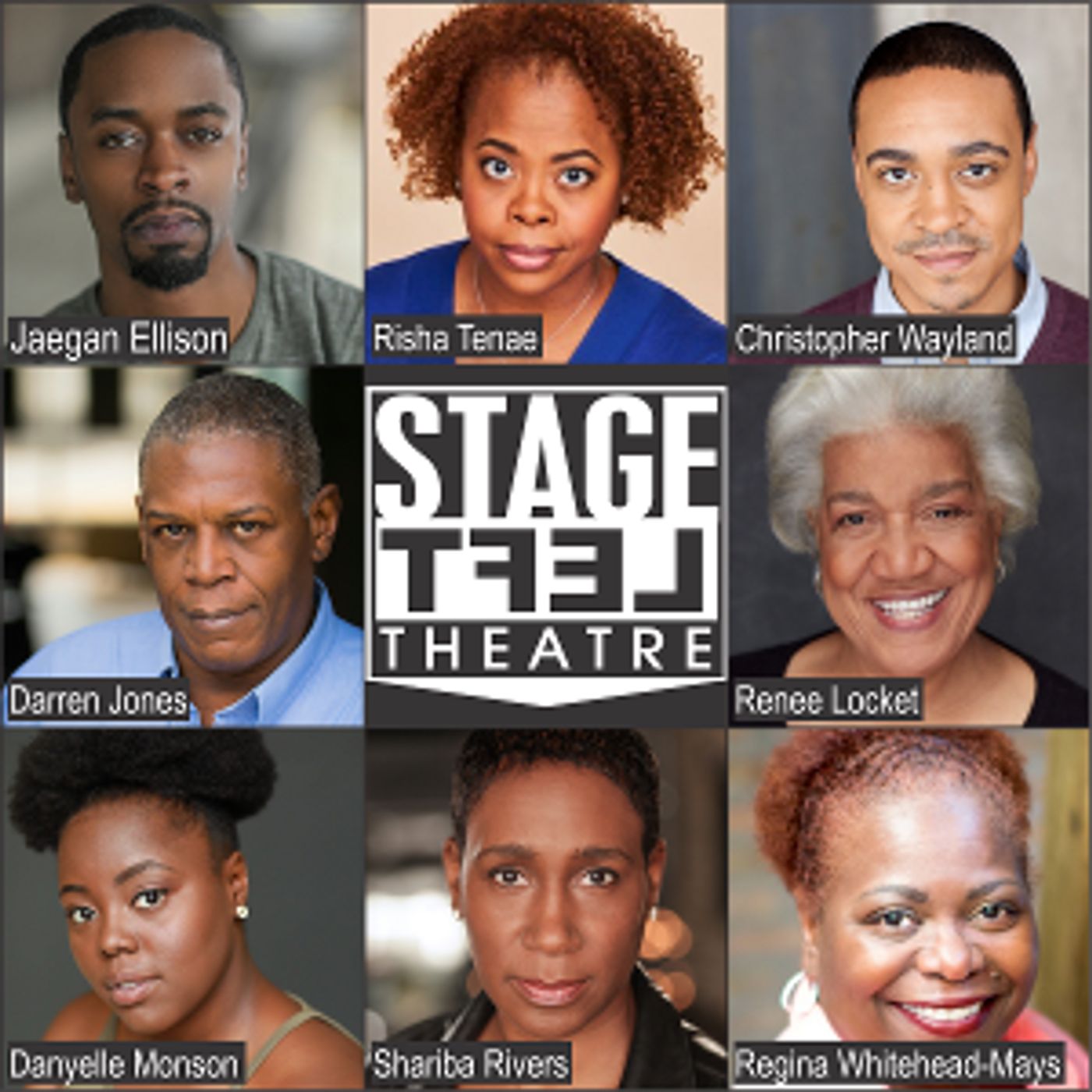Stage Left Announces Online Production Of THE PROJECT(S)  Image
