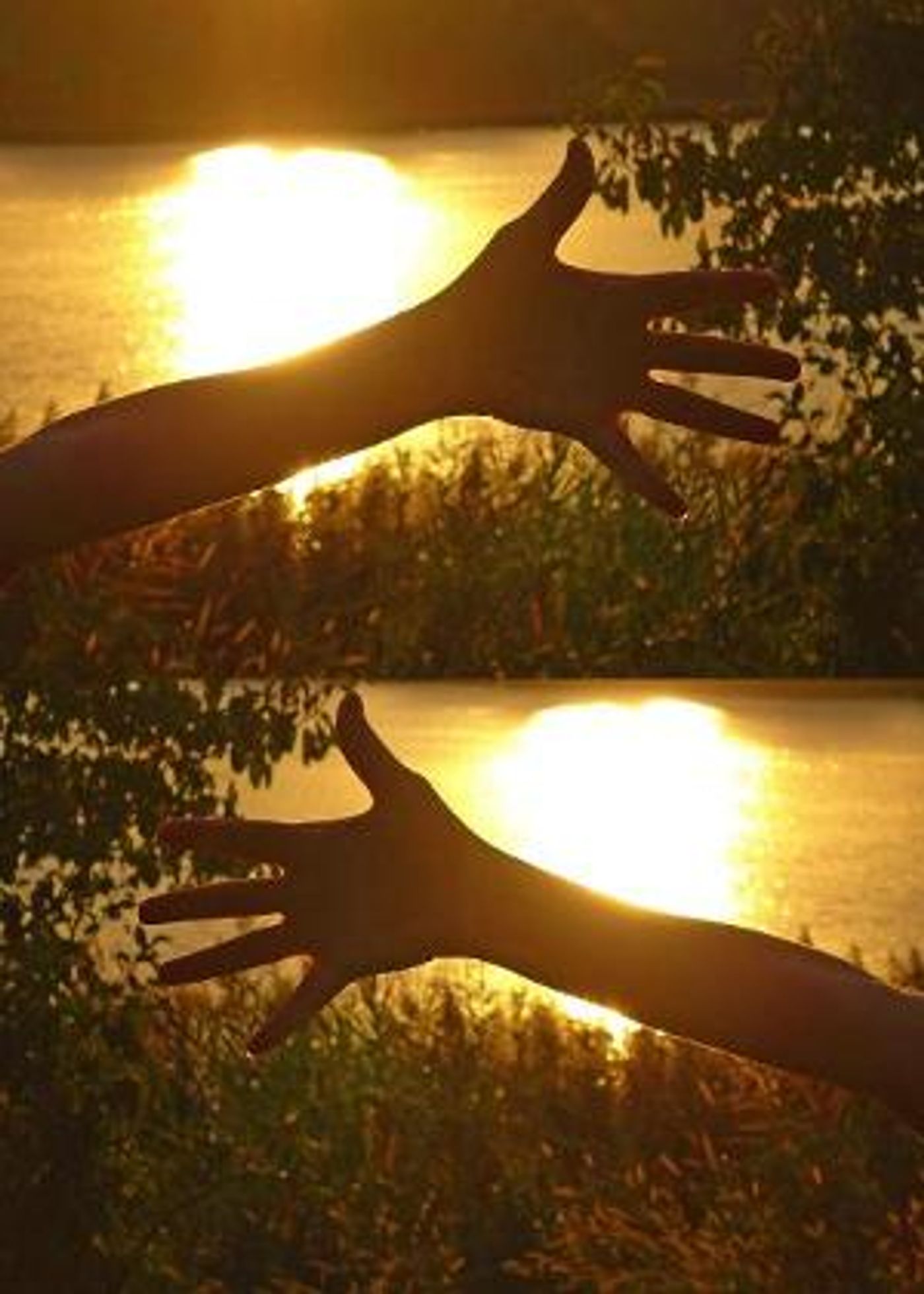 Dance Visions NY's Film Premieres  Online  Image