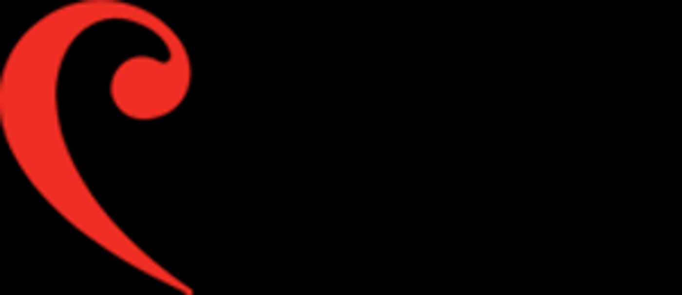 The National Youth Orchestra Of Canada Launches Comprehensive Virtual Season  Image