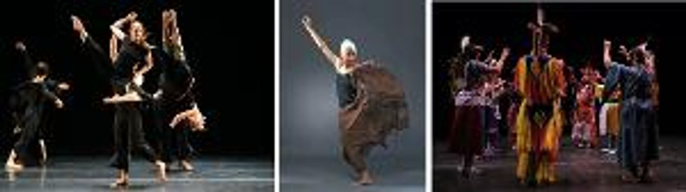 THE 2020 AMERICAN DANCE GUILD PERFORMANCE FESTIVAL Celebrates 10 Years Over 10 Weeks  Image