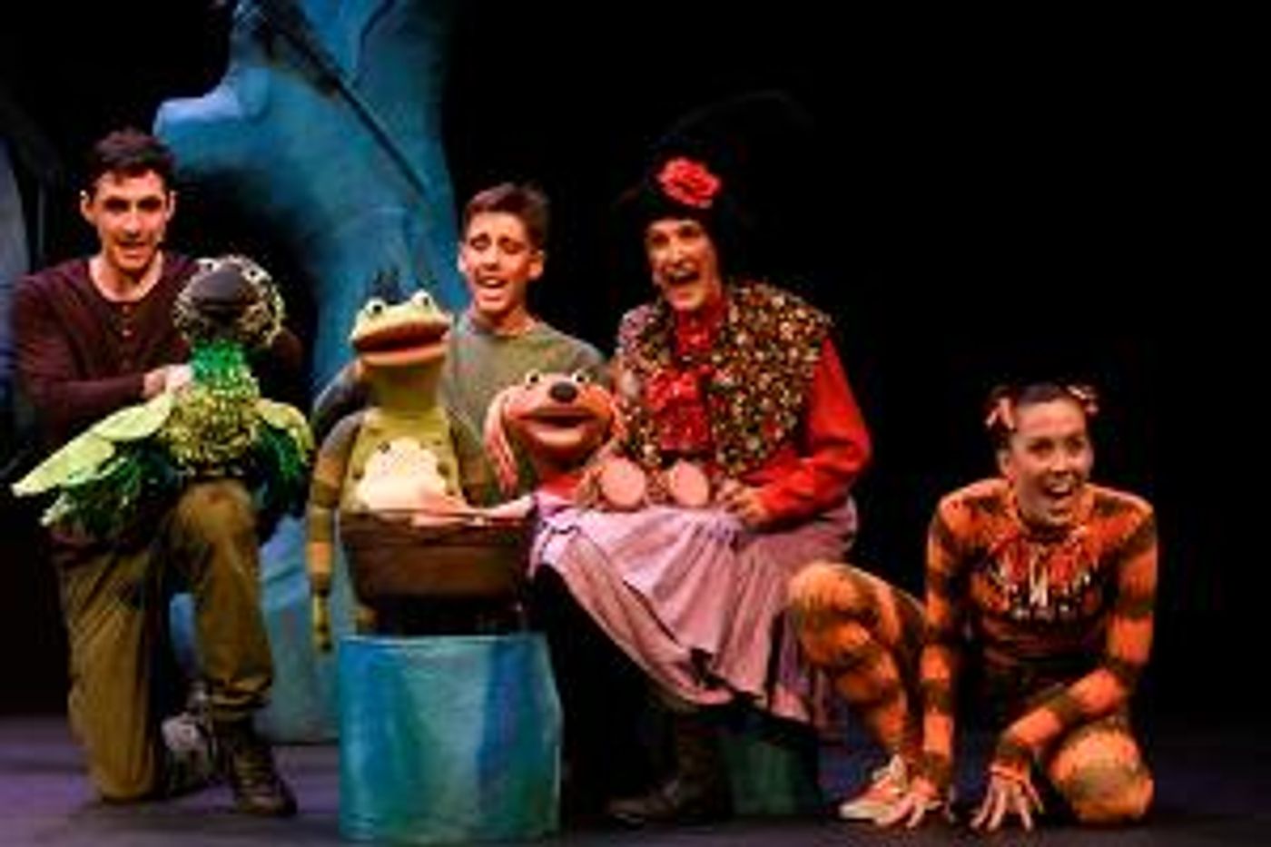 ROOM ON THE SWOOPS Swoops Into Adelaide For Christmas  Image