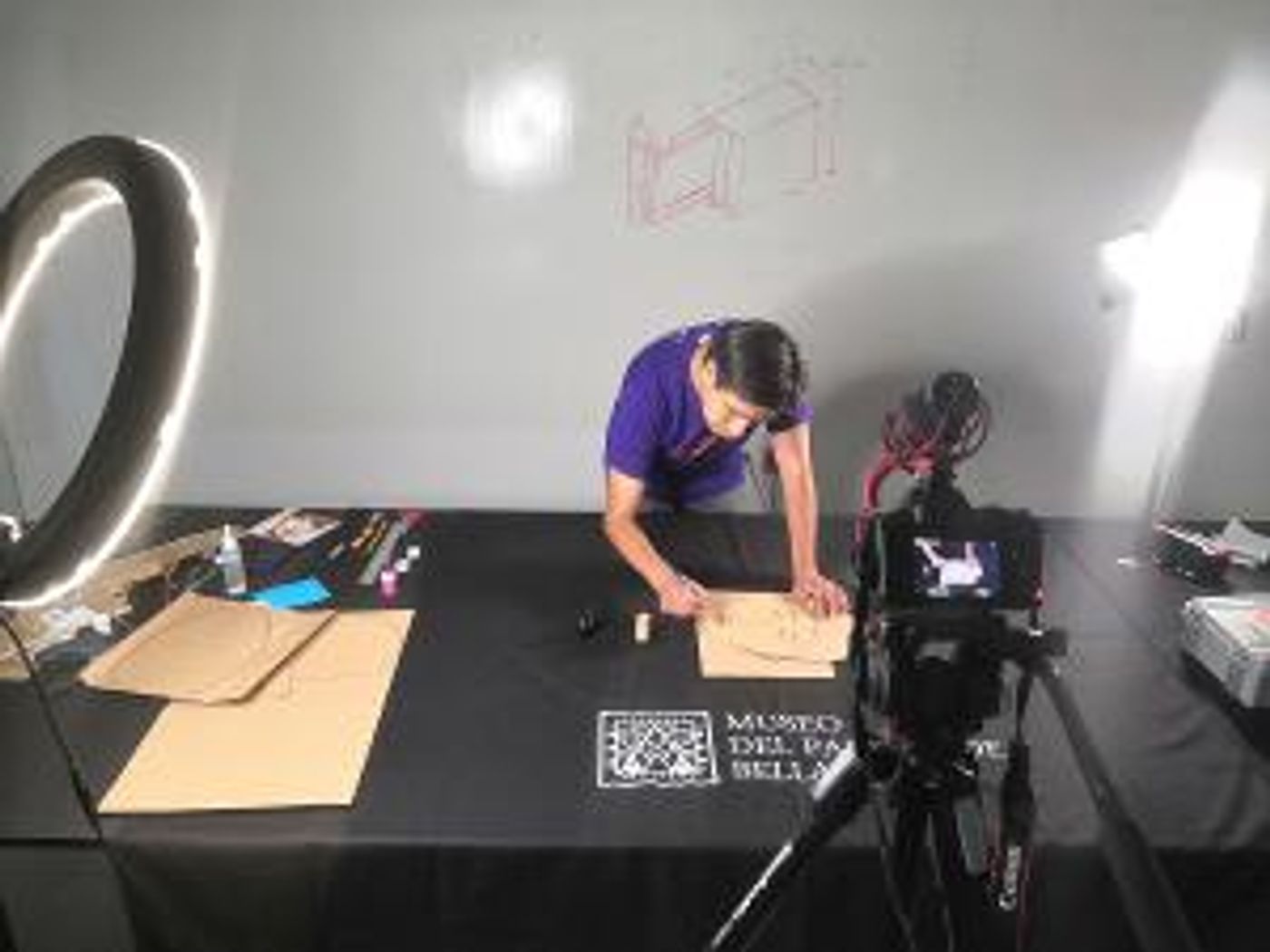 El Museo Del Palacio De Bellas Artes Invita A Niñas, Niños, Adolescentes Y Adultos A Modiglianizarse  Image