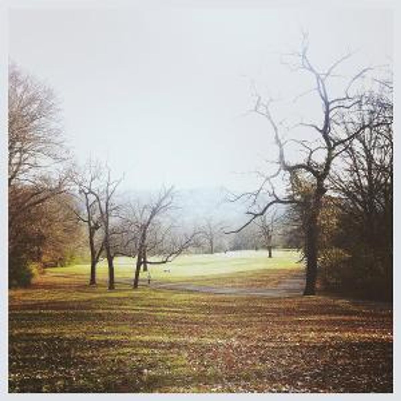 Listen To Molly Parden's EP 'Rosemary' – Out Today  Image