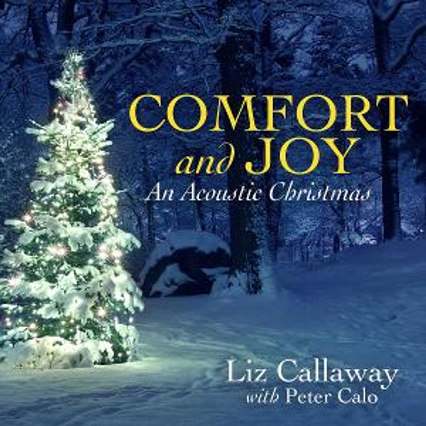 Liz Callaway to Release New Christmas Album COMFORT AND JOY  Image