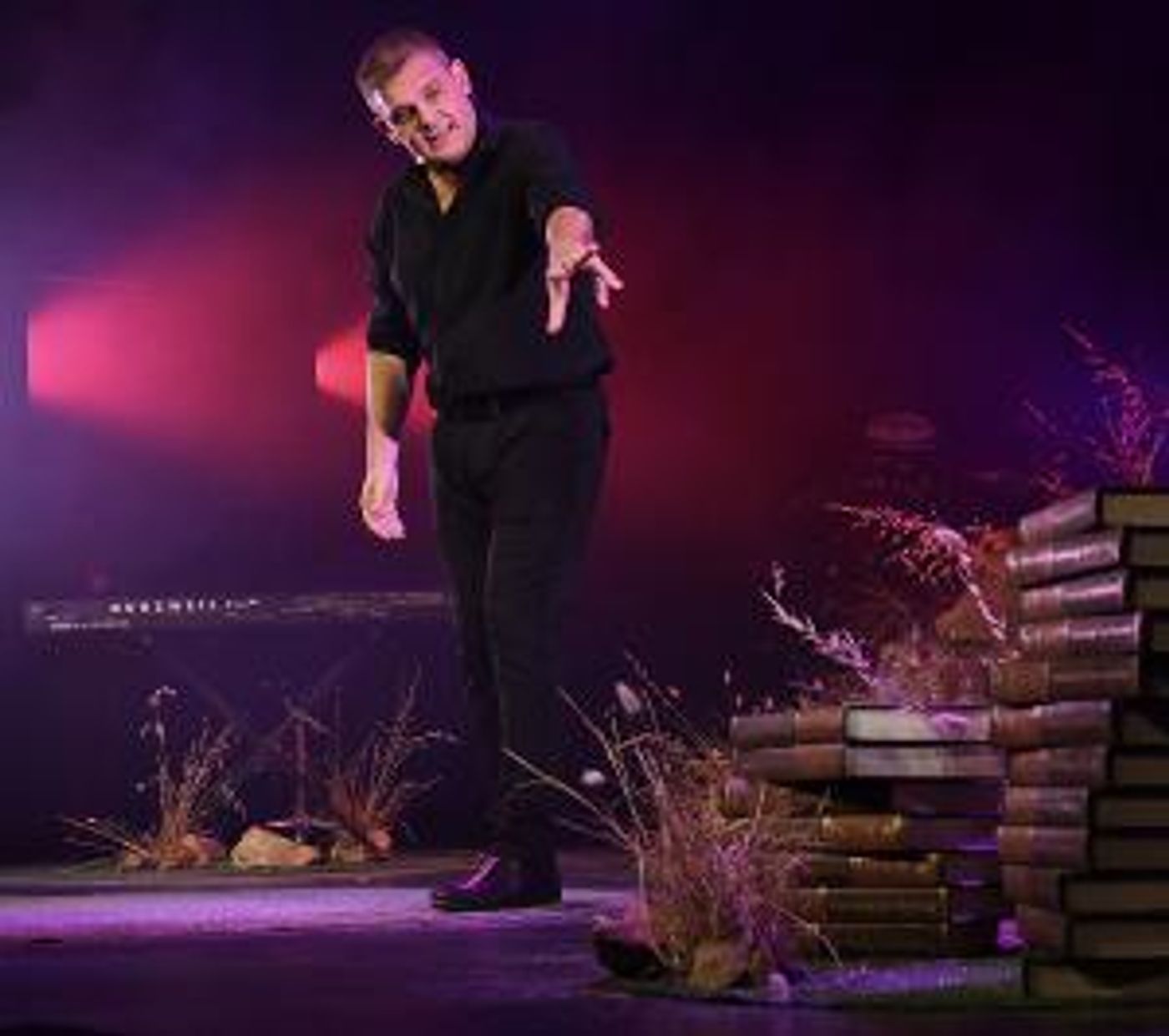 Alan Committie's THE LYING KING Starts 27 November!  Image