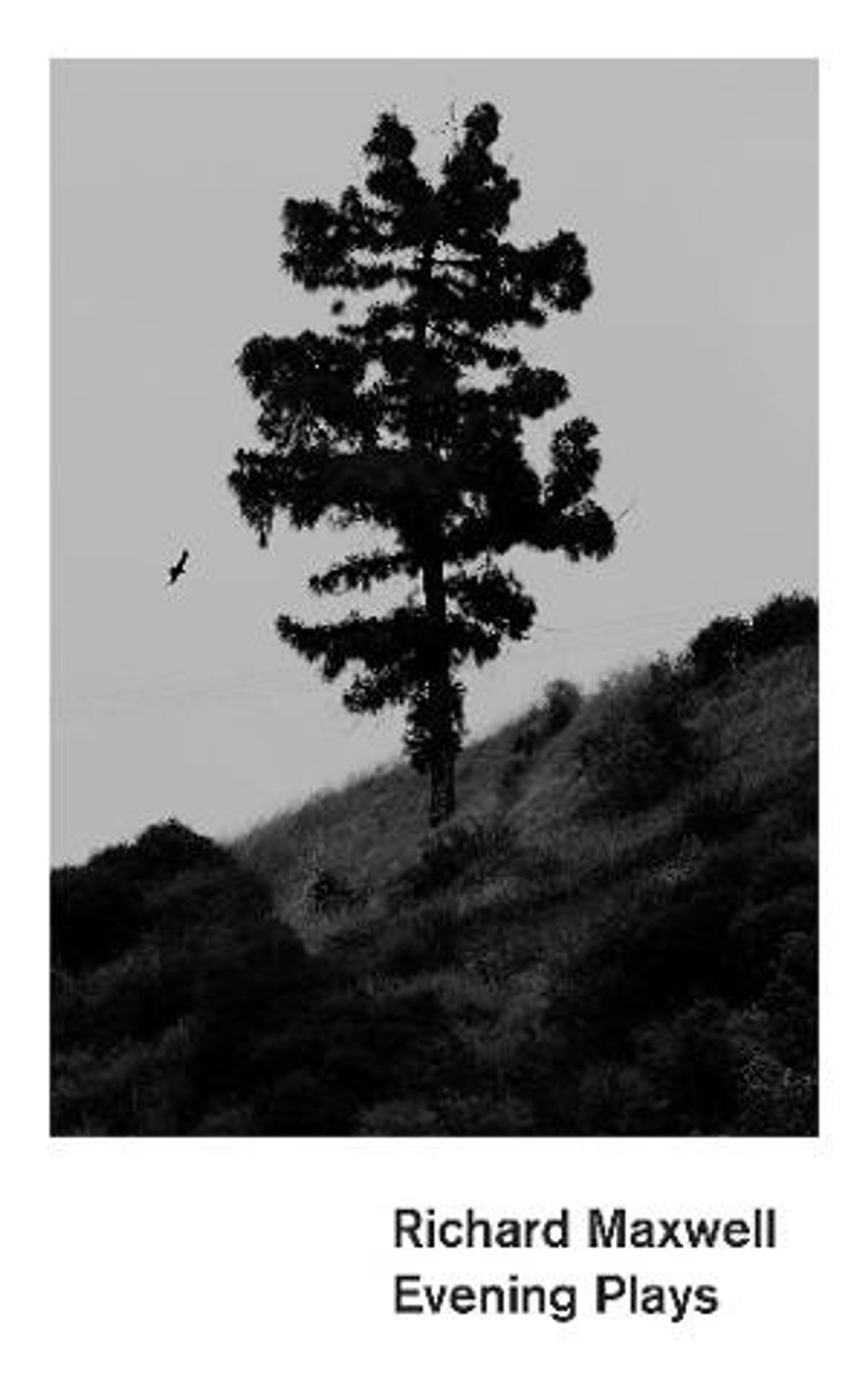 TCG Books Publishes EVENING PLAYS By Richard Maxwell  Image