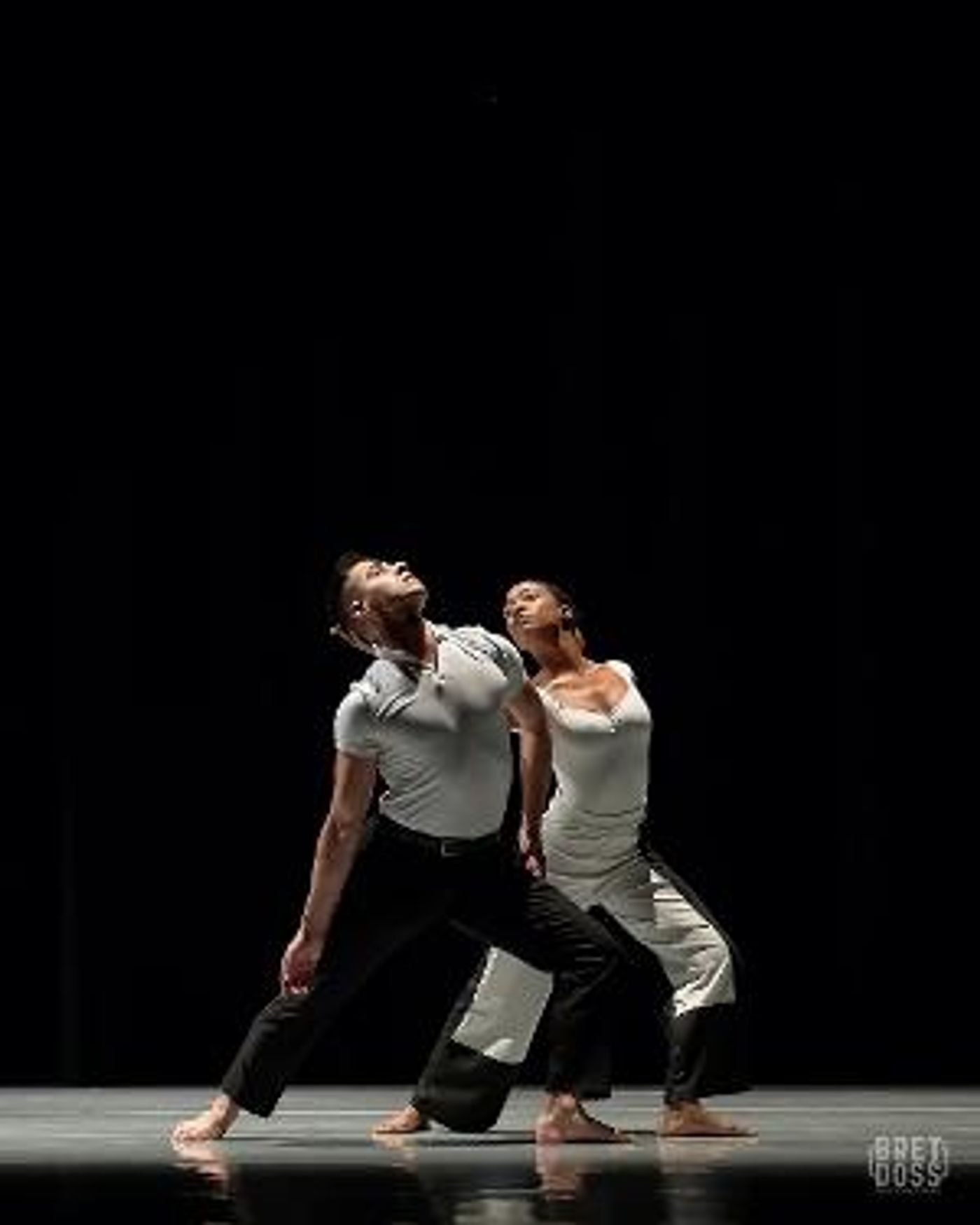 CHOP SHOP Announces 2021 Online Dance Festival  Image