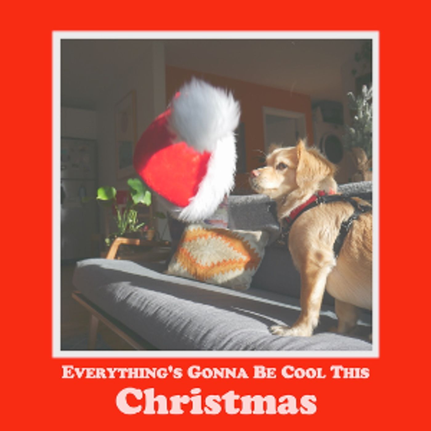 Total Brutal and Misty Boyce Release New Holiday Single  Image