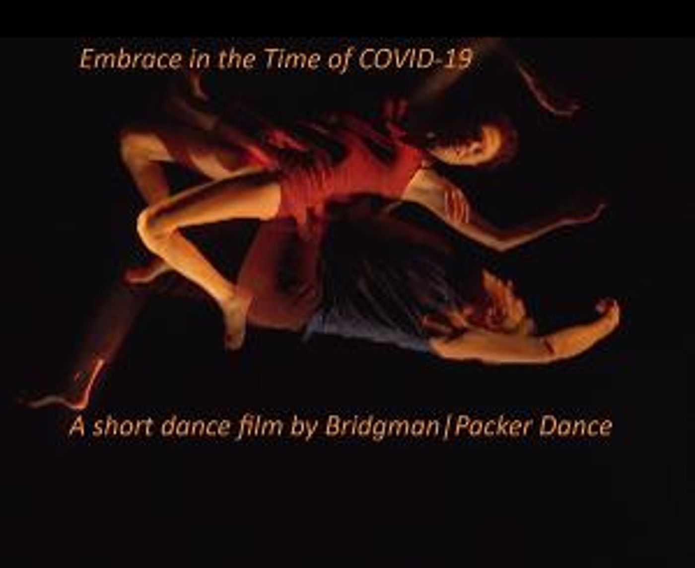 Bridgman|Packer Dance Streams Award-Winning Covid Inspired Piece  Image