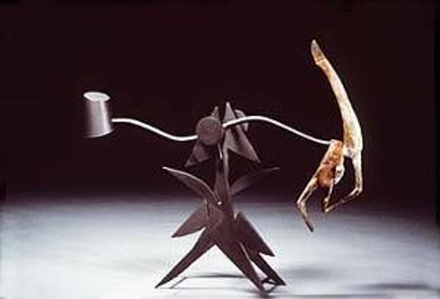 Five Artists Explore The Hidden Beauty of Movement in Everyday Things  Image