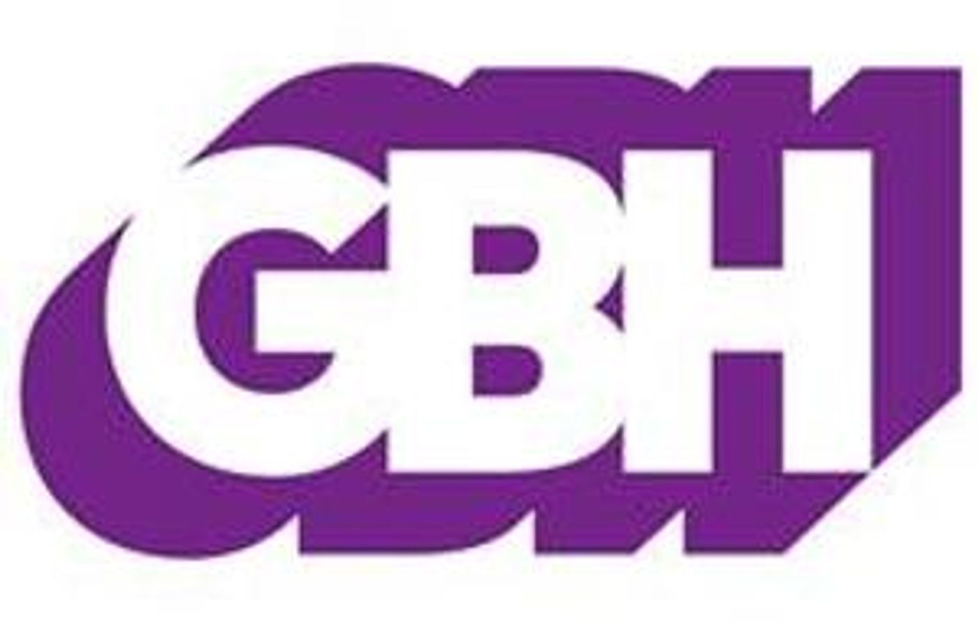 Huntington and GBH Announce Audio Play TIGER STYLE  Image