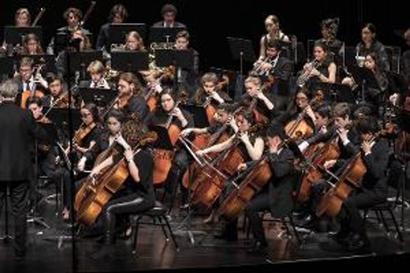 Santa Barbara Youth Symphony Concerto Competition Is Now Open For Auditions  Image