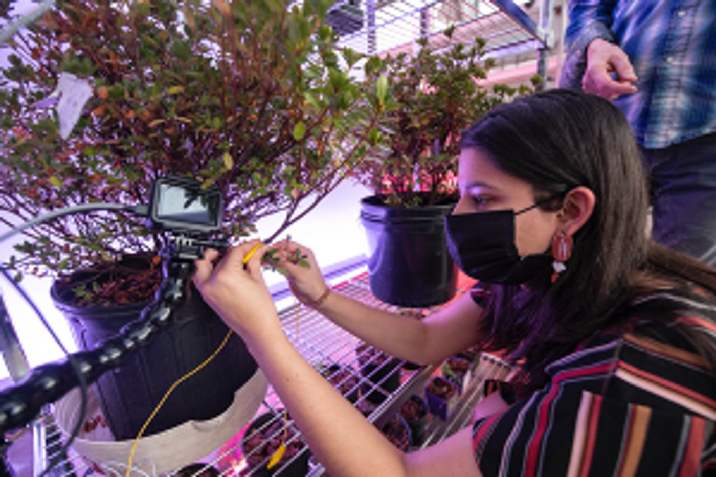 Murals At Mason And Mason Exhibitions Present Sam Nester's ARCADIA Sound And Light Installation  Image