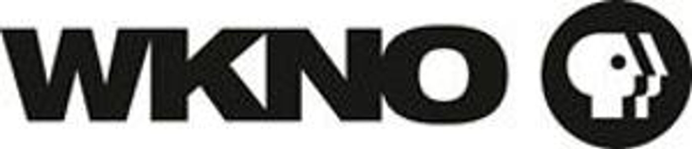 WKNO Offers Statewide Coverage Of The 112th Tennessee General Assembly Sessions  Image