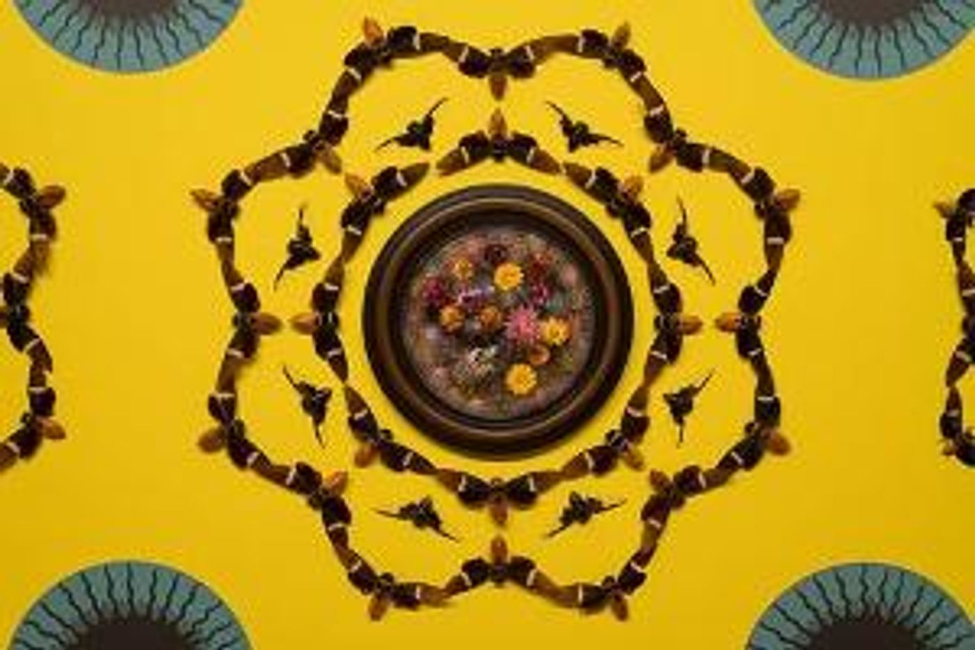 Staten Island Museum To Receive Grant From The National Endowment For The Arts  Image