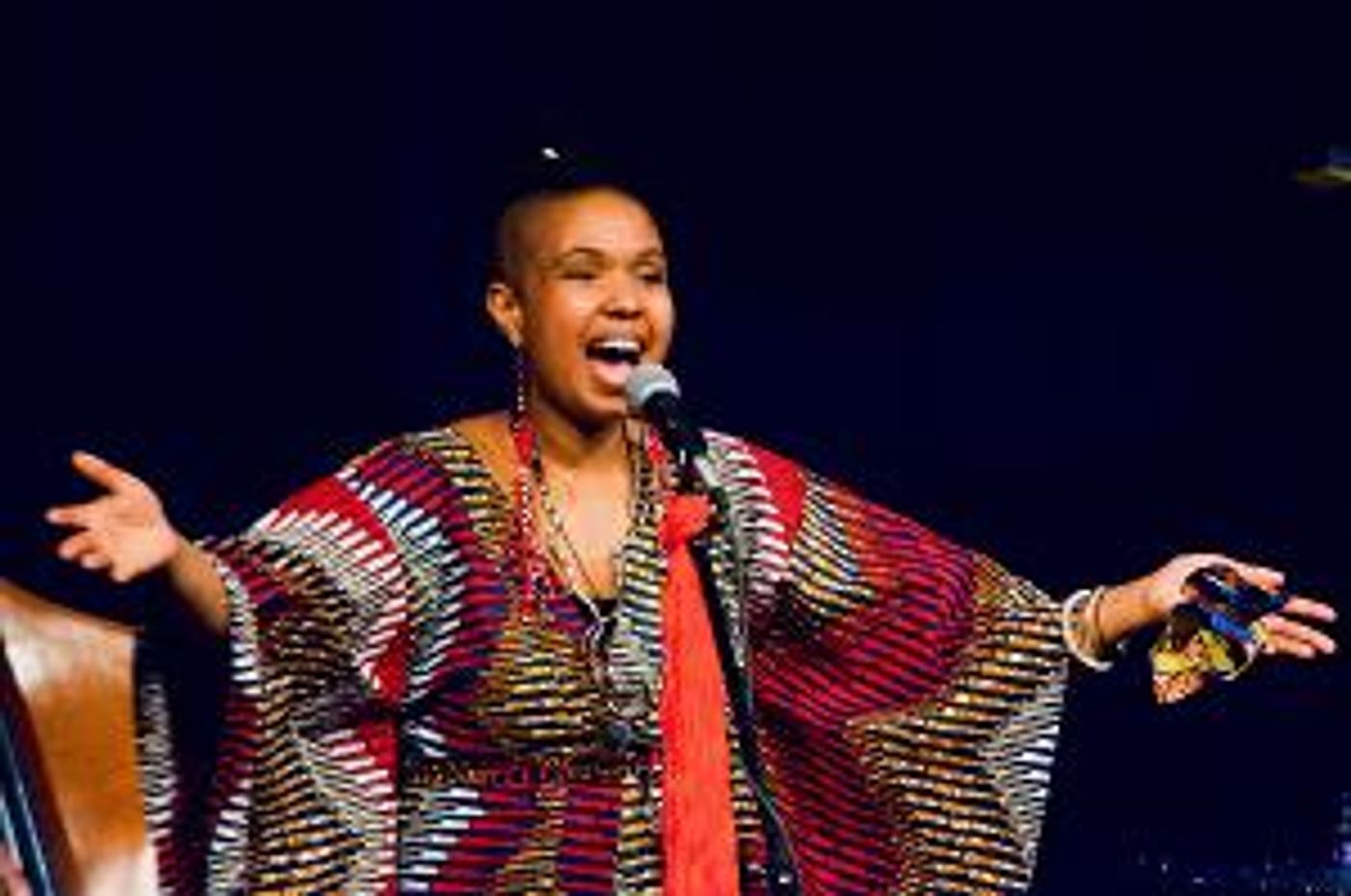 In Celebration Of Women's History Month, Akua Allrich & The Tribe Perform 'A Beautiful Disruption - The Genius Of Black Women In Music'  Image