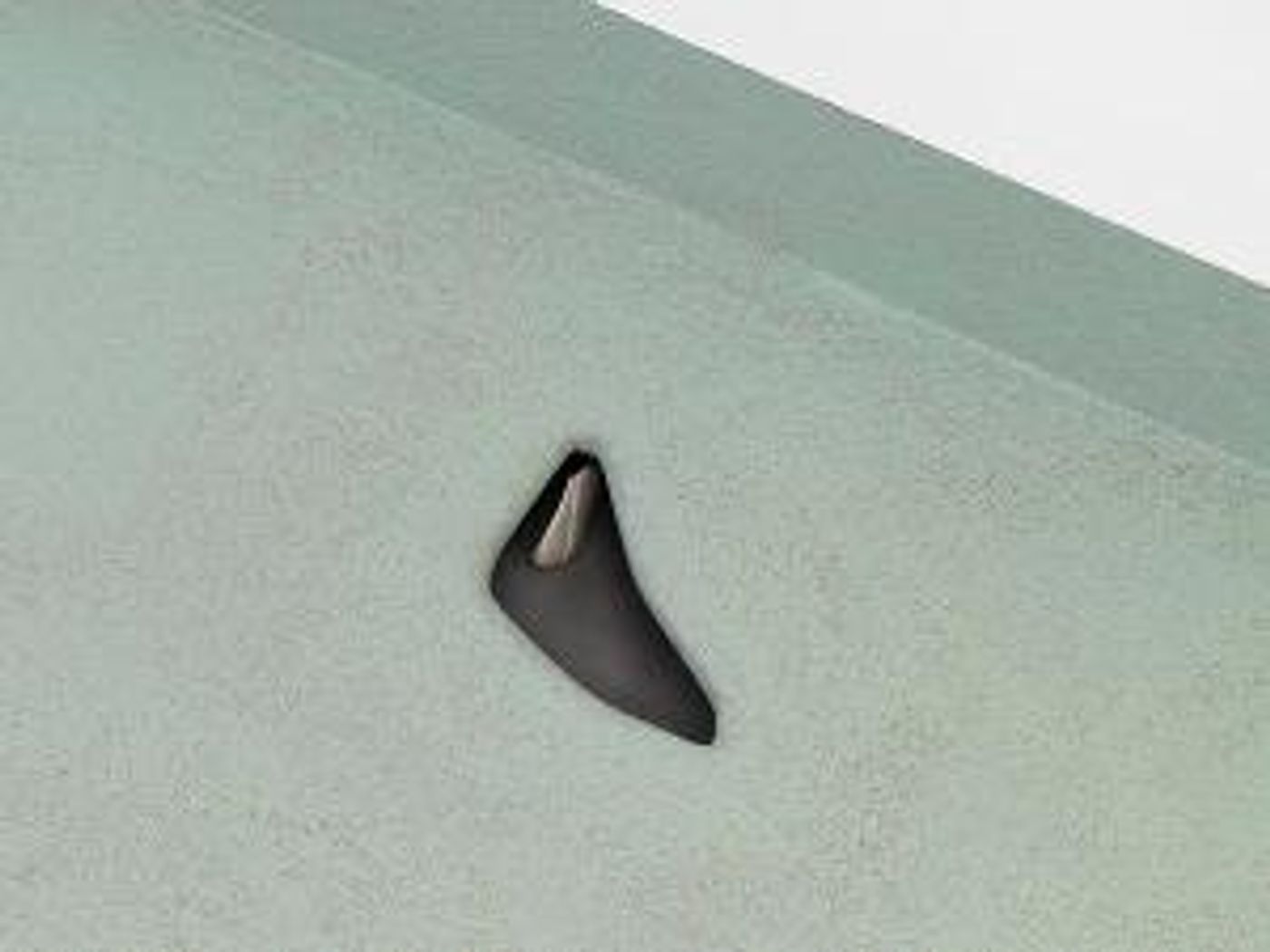 Chapter NY Announces Representation of Stella Zhong  Image