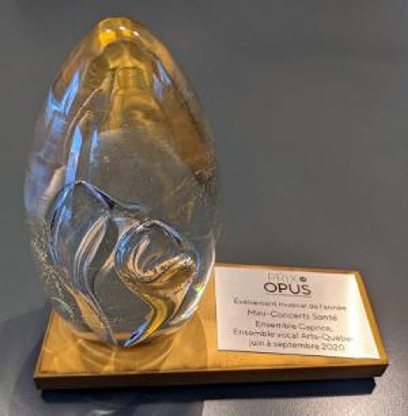 Mini-Concerts Santé Wins PRIX OPUS Musical Event of the Year  Image