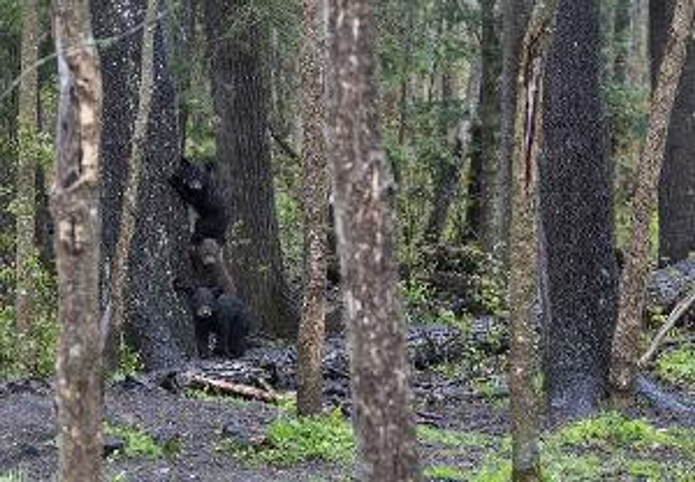 Phillips Mill Photo Committee Announces Online Member Show  Image