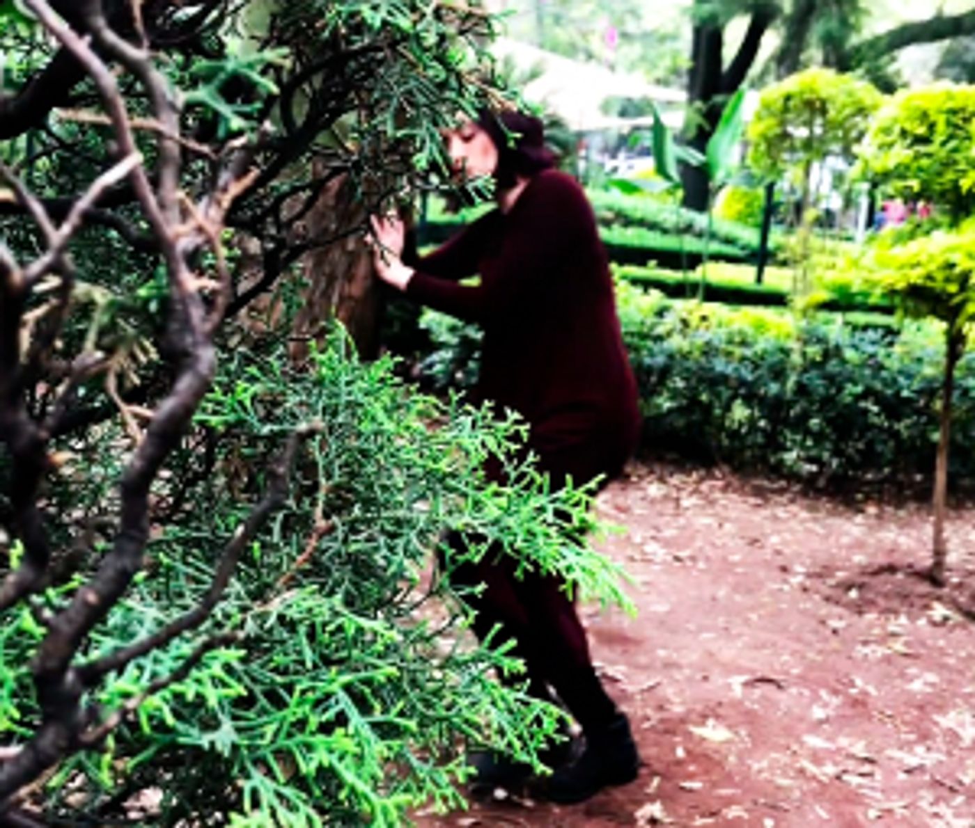 Inbal. Con Tres Videodanzas, Bailarines Del Ceprodac Evocan Legado Artístico De Guillermina Bravo  Image