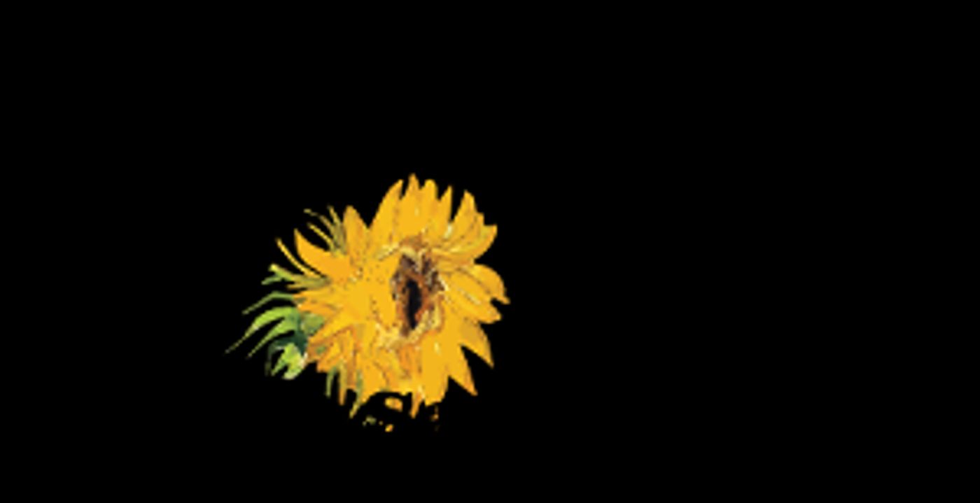 New Block Of Tickets Now Available For IMMERSIVE VAN GOGH  Image