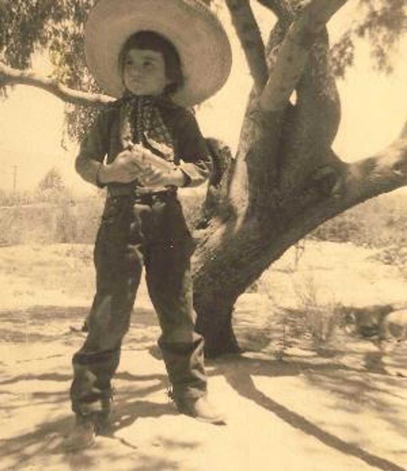 Linda Ronstadt To Publish New Book With Heyday  Image