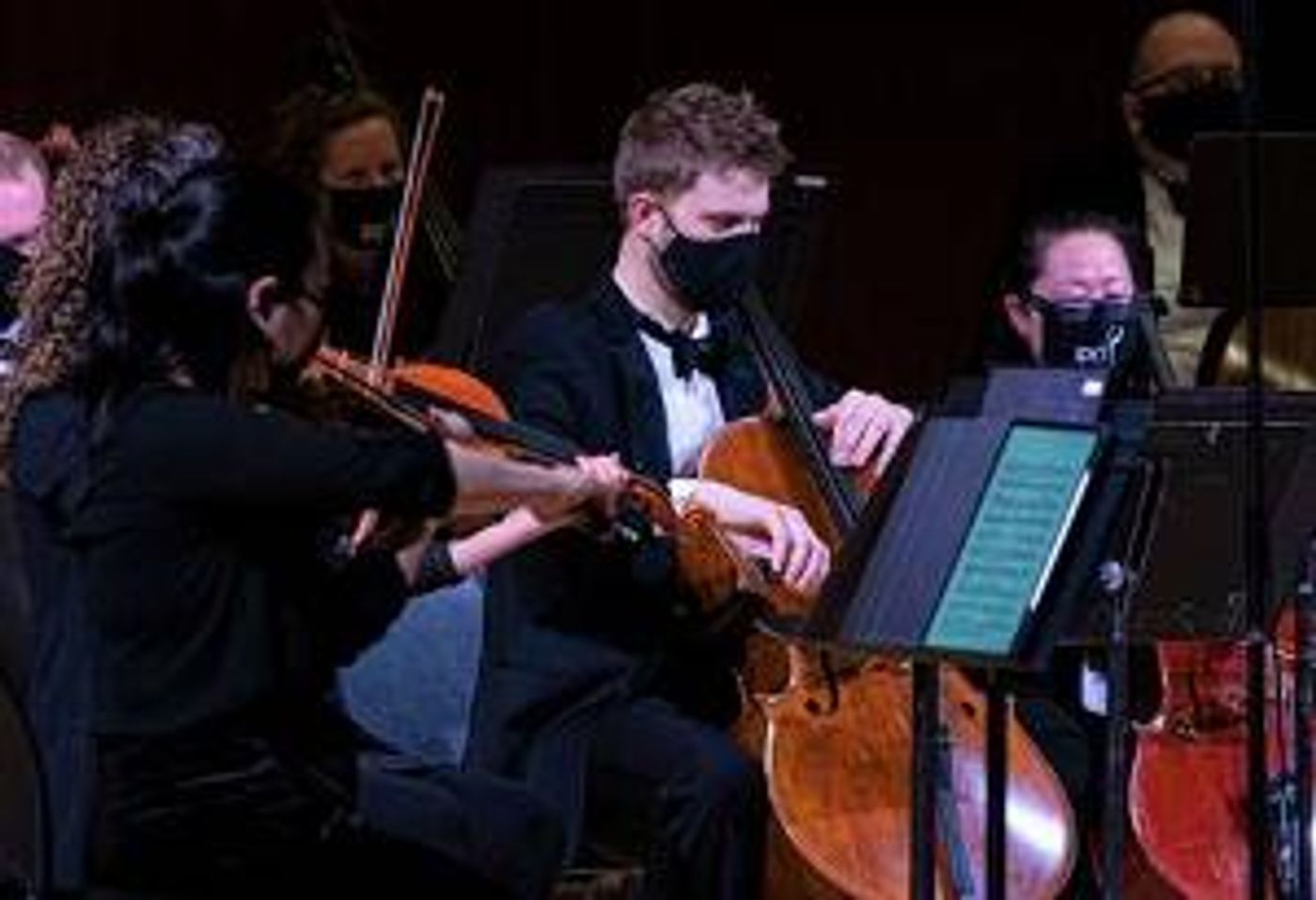 Illinois Philharmonic Presents POETIC STRINGS, April 9-23  Image
