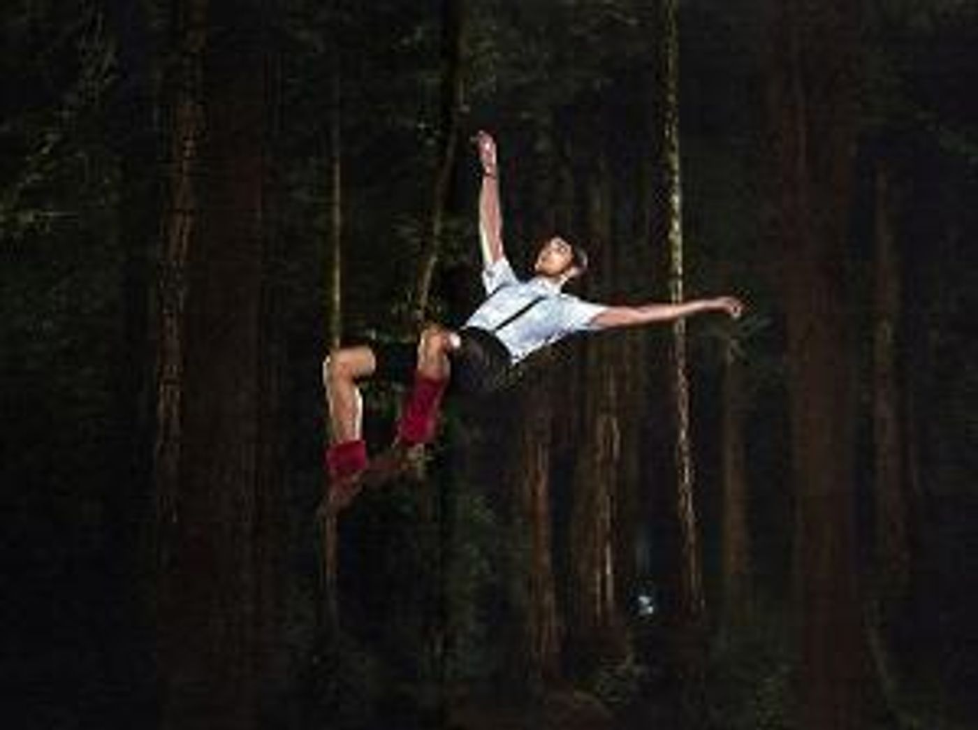 Music, Dance And Nature Intersect In Outdoor Site-Specific Collaboration At Kaatsbaan Cultural Park  Image