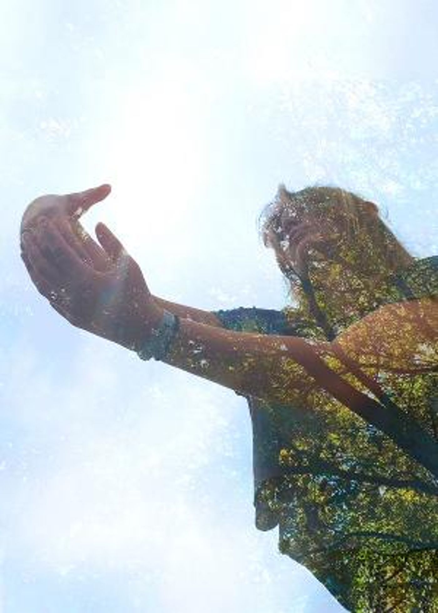 UofSC Dance Premieres Original Dance Films  Image