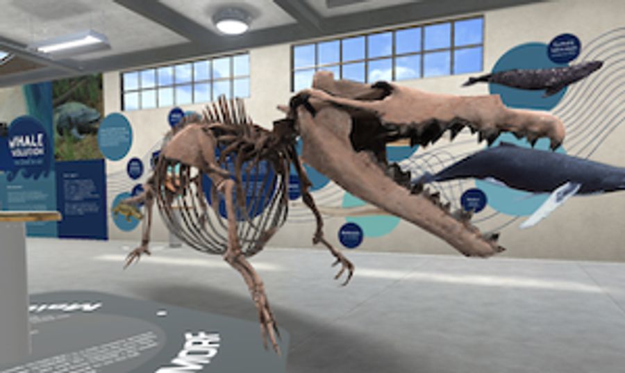 New 3D Exhibit By University of Michigan Museum Of Natural History Offers Up-Close Encounters With Prehistoric Whales Image