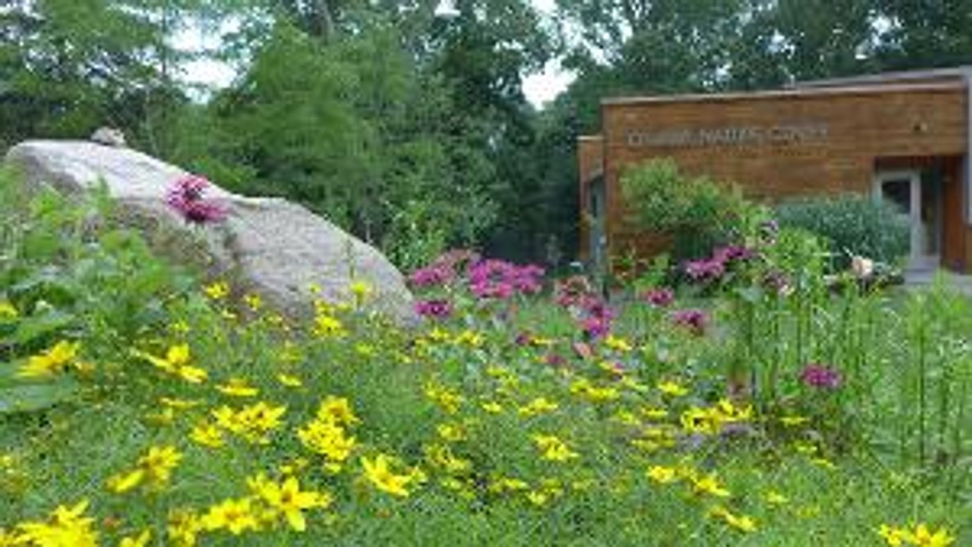 The Irvington Shakespeare Company Will Bring TWELFTH NIGHT to Irvington Theater  Image