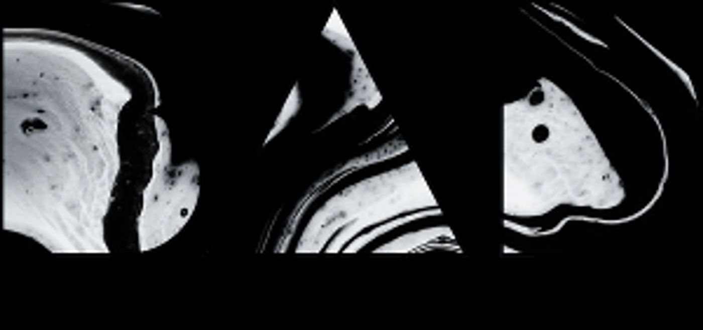 Black Bandcamp Relaunches As Black Artist Database  Image