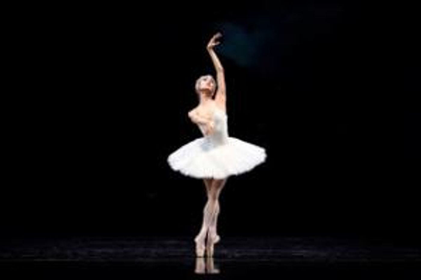 Helgi Tomasson's SWAN LAKE Closes SF Ballet's 2021 Digital Season, May 20- June 9  Image
