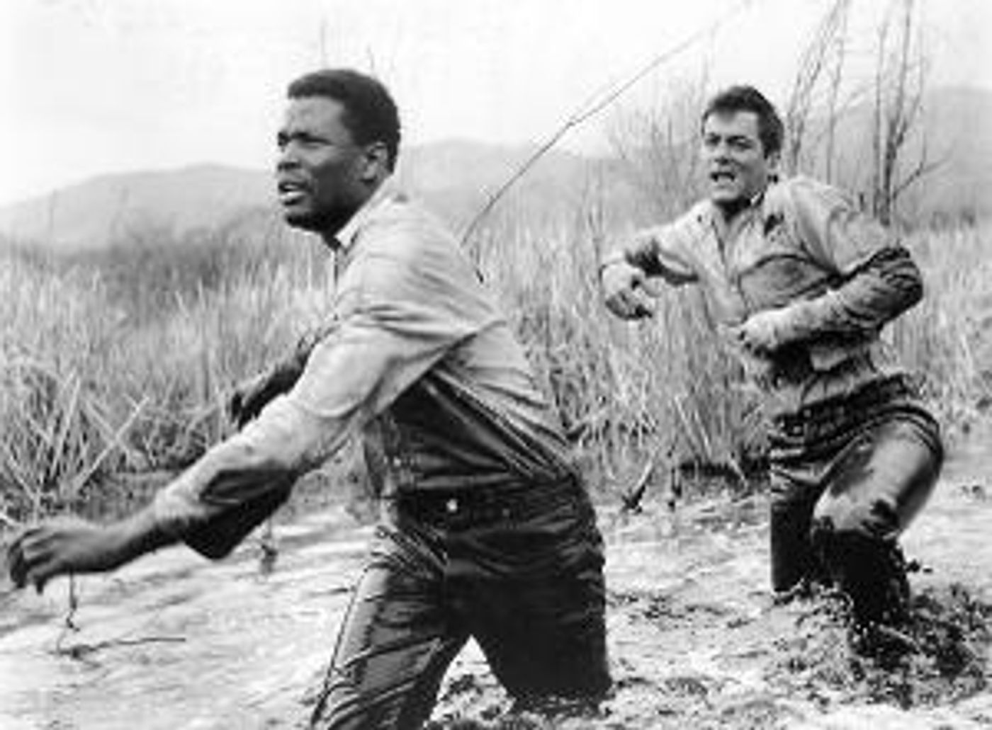 Tickets On Sale Today For The 2021 CAPA SUMMER MOVIE SERIES  Image