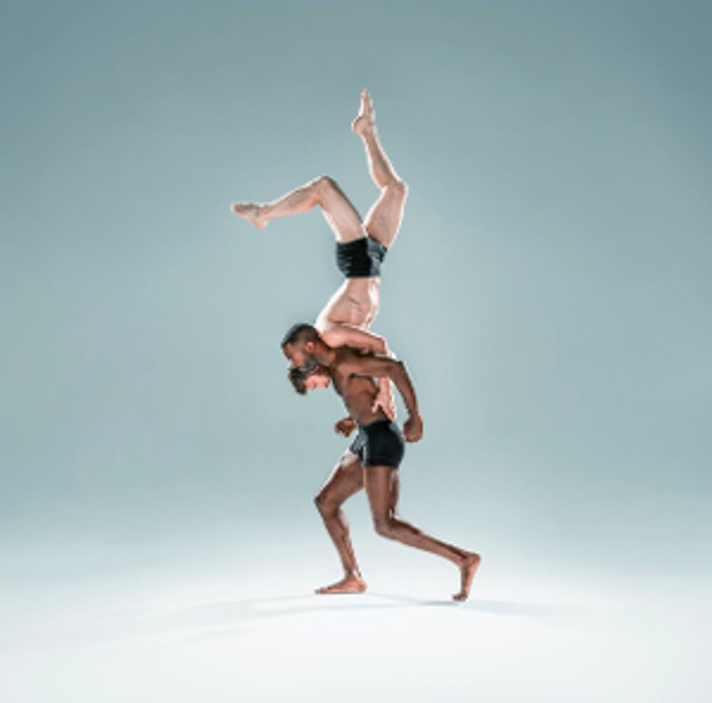 Columns Dance Festival To Feature Pilobolus, Sonia Plumb Dance Company, and More  Image