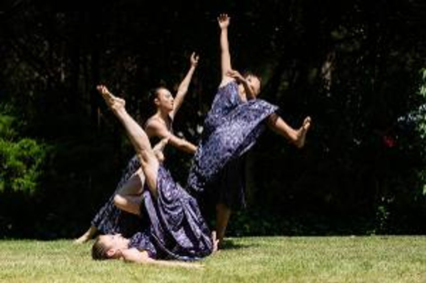 Amanda Selwyn Dance Theatre to Return To East Hampton This Summer  Image