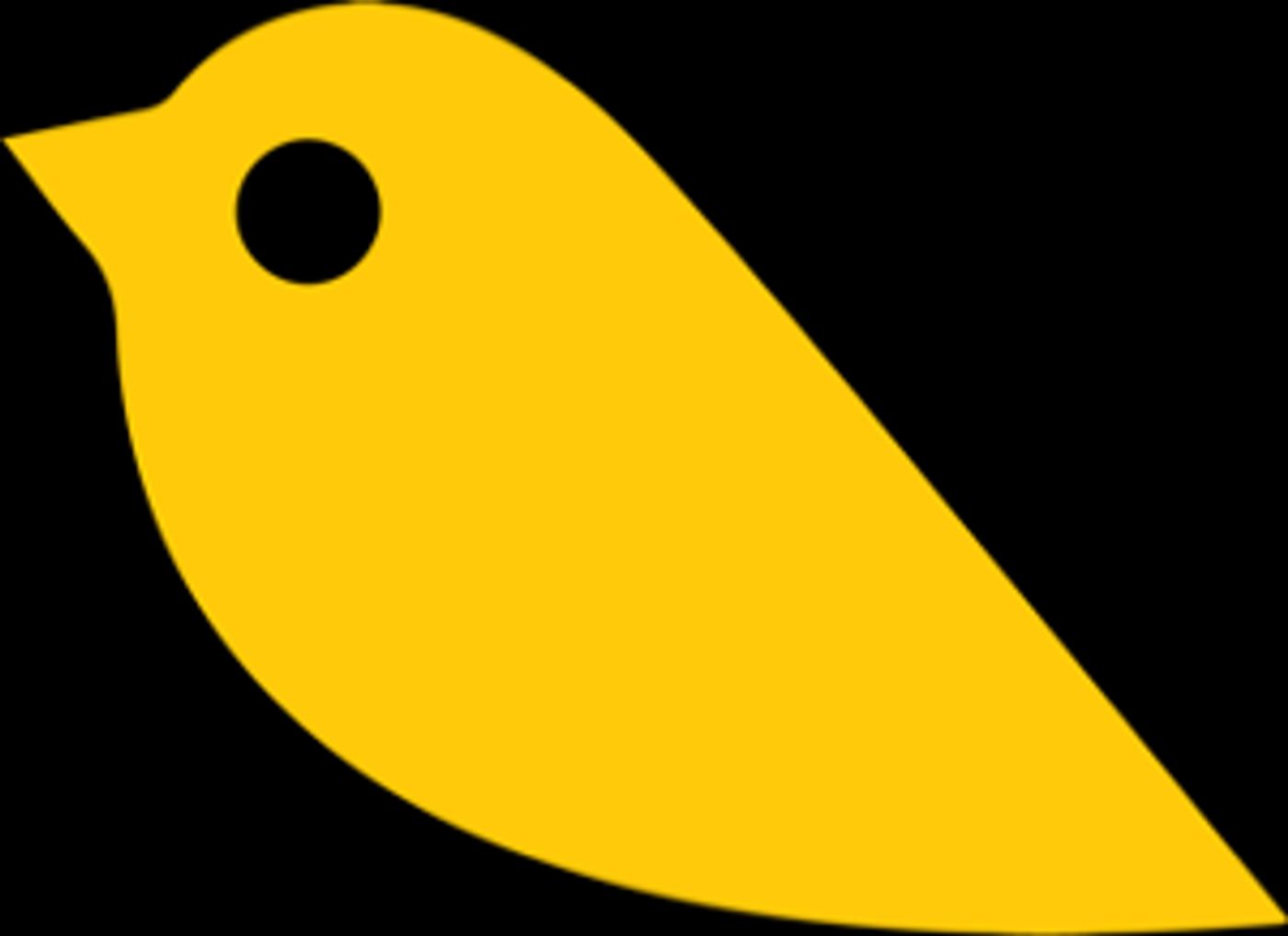 The Coal Mine to Host The Canary Pop-Up Shop  Image