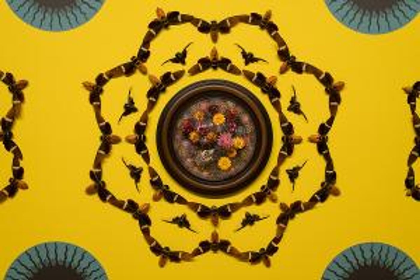 MAGICICADA, New Exhibition Of Insect Based Art, to Open At The SI Museum  Image