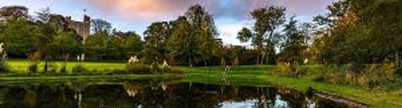 EA Festival and Essex Book Festival to Open This Month  Image