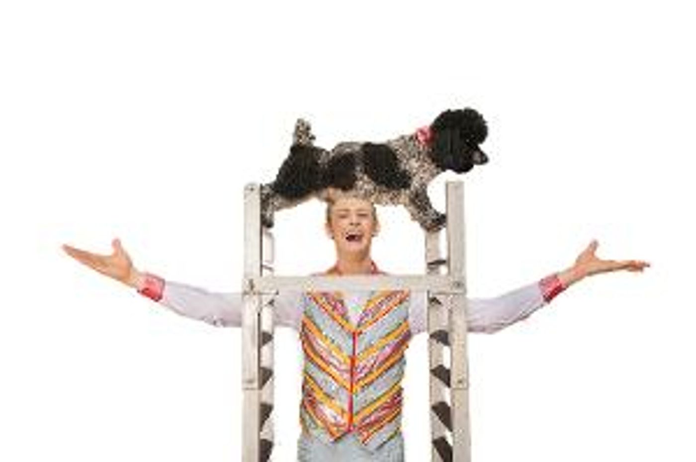 PUPPY PALS - THE COMEDIC STUNT DOG SHOW Bounds Into Boca Raton & Delray Beach In September!  Image
