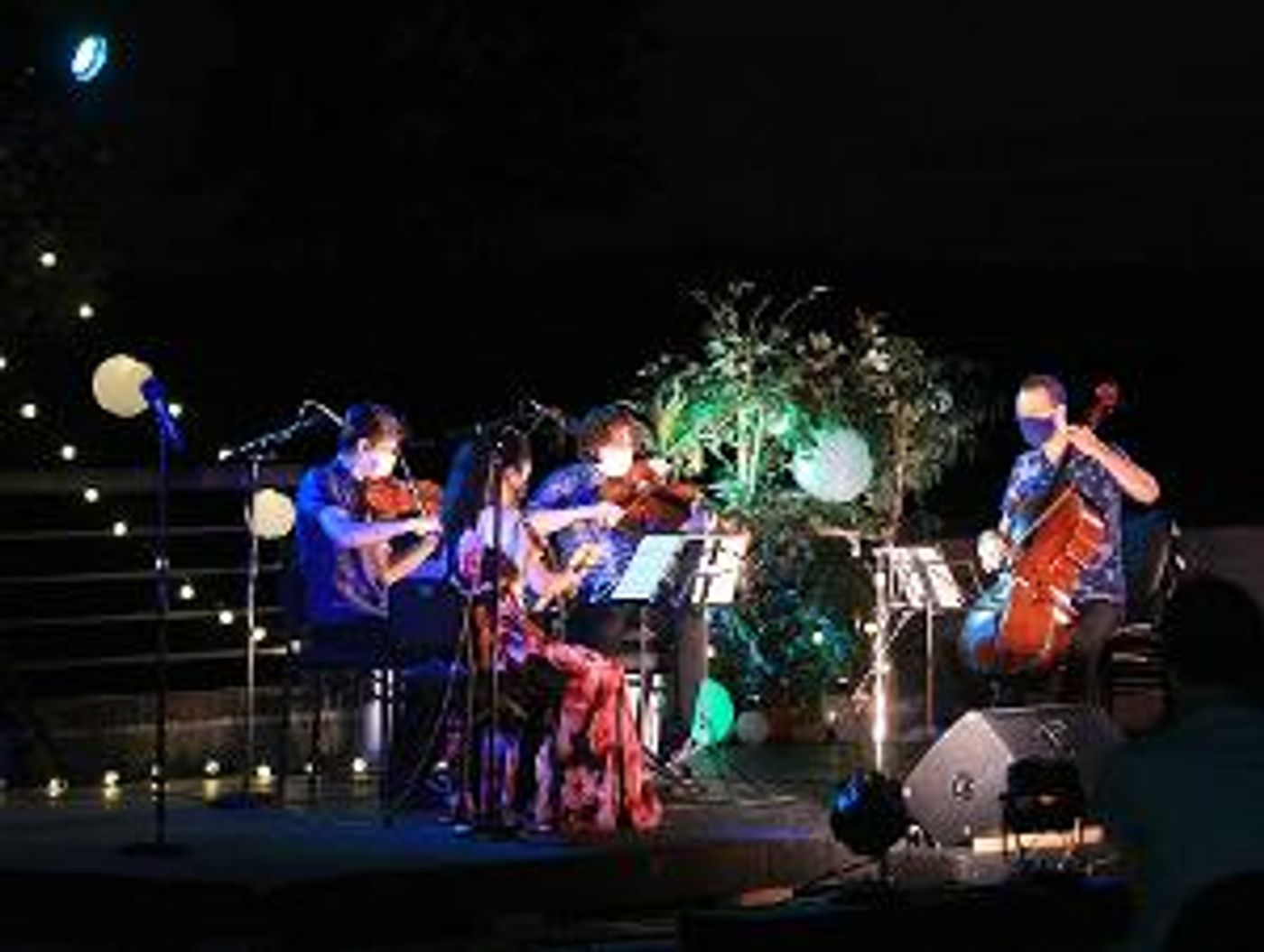 Tesla Quartet Returns to The Morris Museum with A Program That Includes Schubert and Caroline Shaw  Image