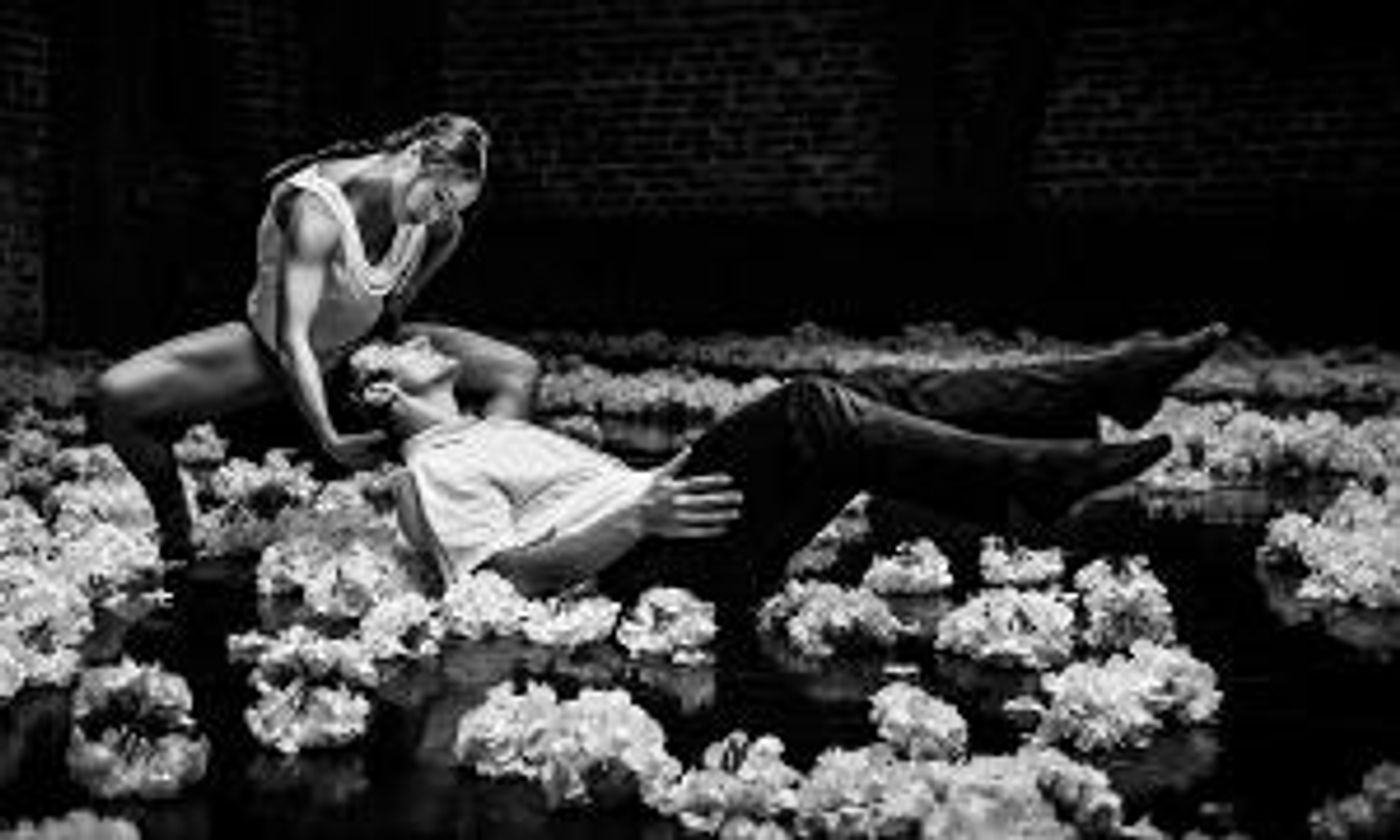 ODC/Dance Presents DRINKS & A DANCE, August 19  Image