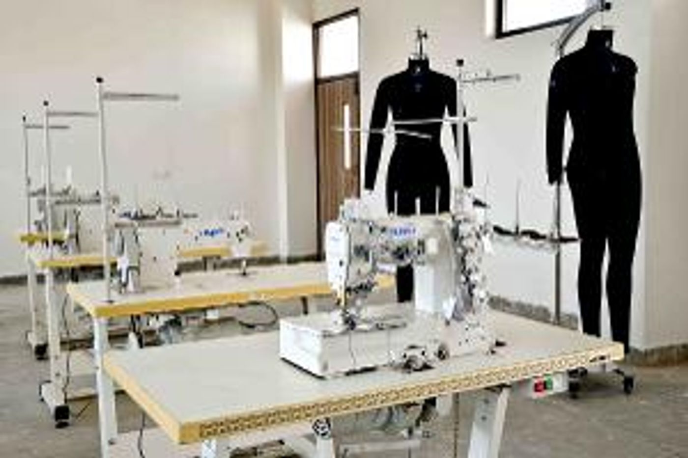 World University Of Design Invites Applications For Undergraduate Programmes  Image