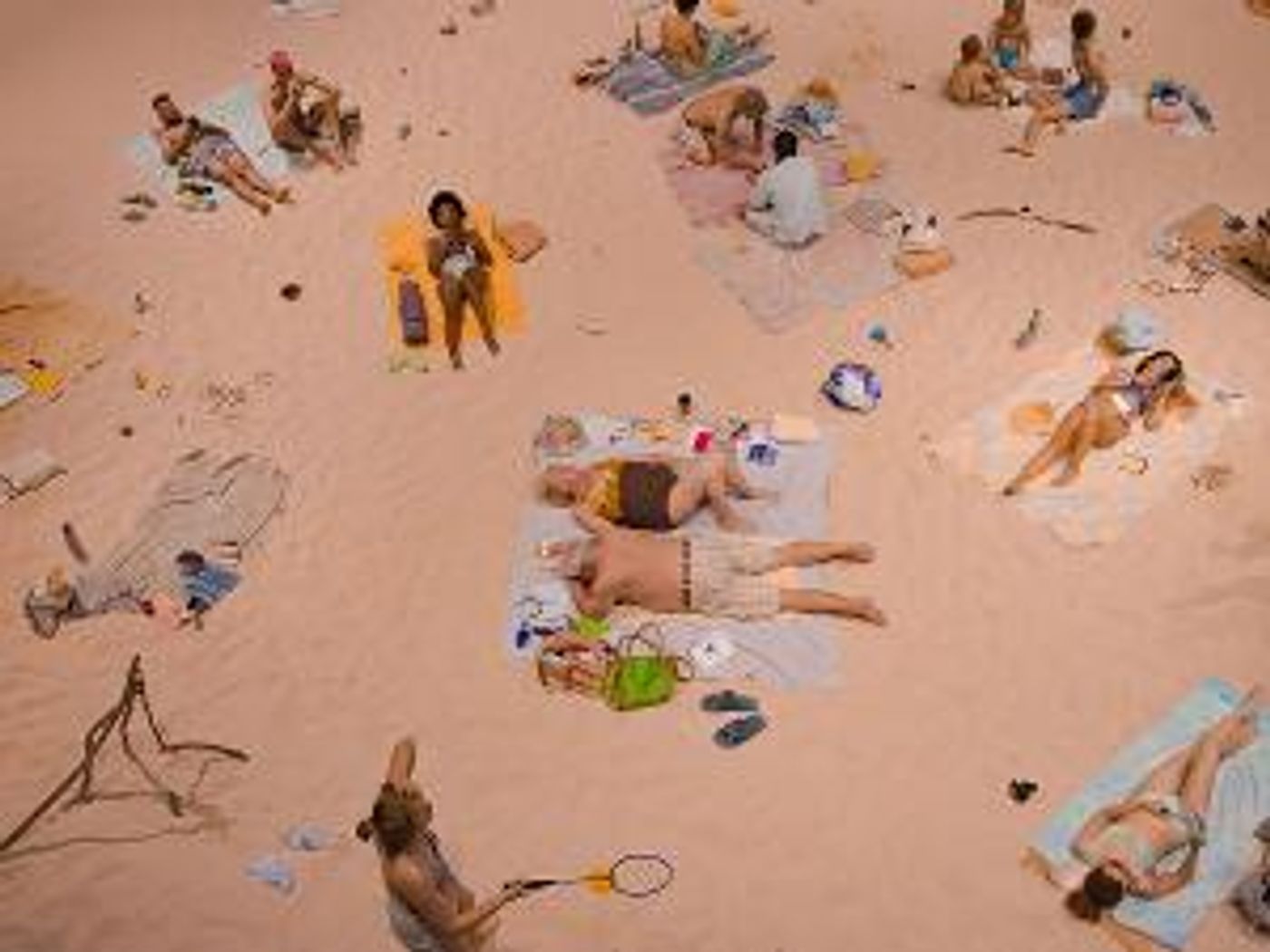 BAM Seeks Local “Beachgoers” (and At Least One Dog) for SUN & SEA  Image