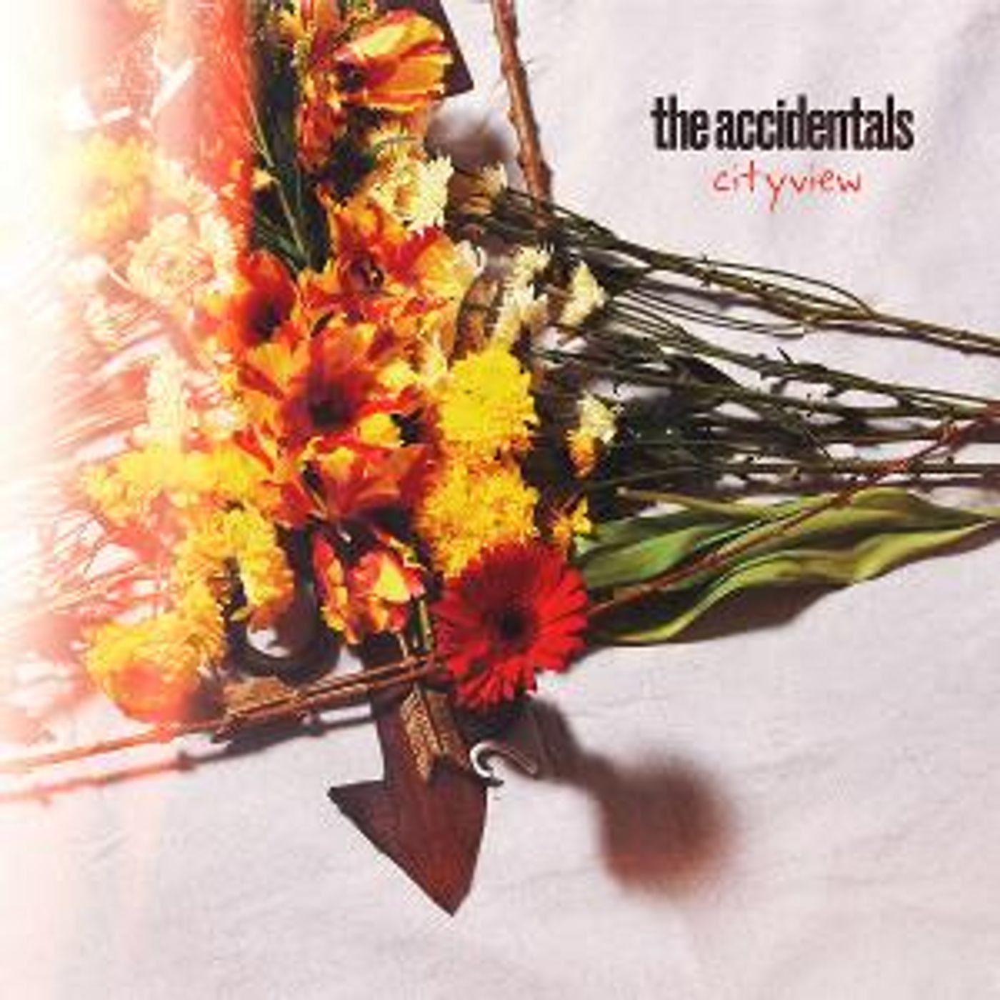 The Accidentals Release “Cityview” Today, Winner Of 2021 New Folk Song Award  Image